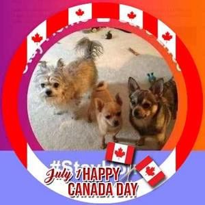 Meet your Posher, Sheri